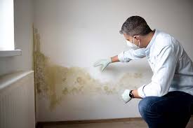 Best Mold Odor Removal Services  in Hanover, IN